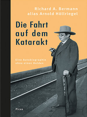 cover image of Die Fahrt auf dem Katarakt